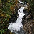 Forest Waterfall