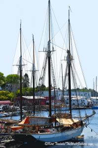 The Masts Have It - Featured Art Prints