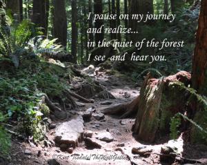 Stop And Take A Pause On Your Journey